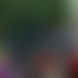 Magical Taxi Tour 2026 dates confirmed as charity begins seeking sponsorship backing