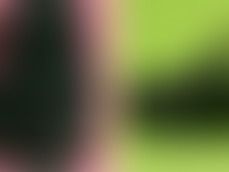 Fresh licensing inquiry offers opportunity to reshape the future of taxi and PHV industry