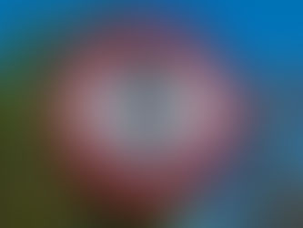 The road sign that a whopping 83% of UK drivers struggle to recognise