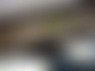 Government launches Road to Zero Strategy to lead the world in zero emission vehicle technology