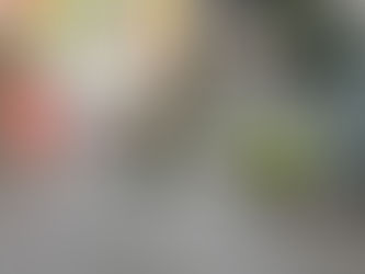 Police release graphic crash photos warning others to stop riding privately owned e-scooters