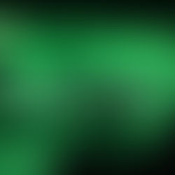 Middlesbrough licensing committee REJECTS private hire driver application over drink-driving conviction