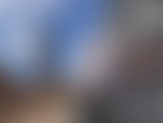 Coventry Tuk Tuk plans go into reverse gear following no takers to run the service