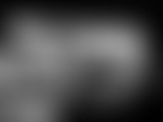 Private hire licence REFUSED after Fareham Borough panel cites conviction and concerns from previous Reading licensee