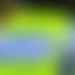 Police appeal after pedestrian struck by people carrier style taxi at Fort Kinnaird retail park