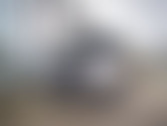 New LEVC light commercial van debuts in Europe