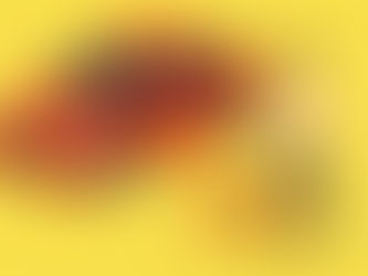 Responsibility for private hire vehicle guide dog refusals lies with the individual driver, less so with the operator