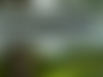 LISTED: The UK’s rudest road names revealed