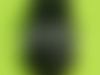 Licence hearing outcomes show rising refusals and falling reviews for drivers licensed in Wolverhampton