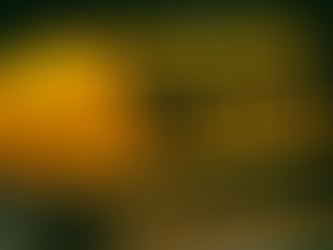 Vale Council approves new taxi fare tariffs with annual review commitment