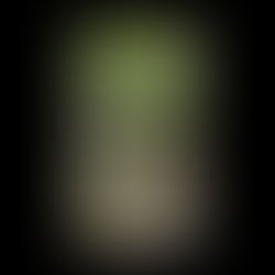 Rosa damascena & Rosa rugosa music