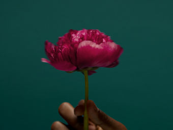 What A Waste Single EP