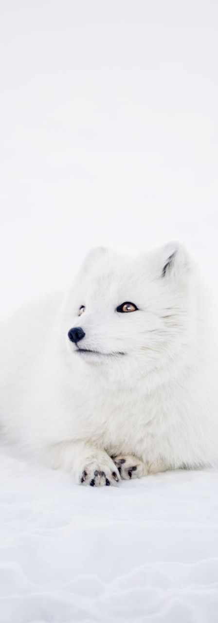 Wanene Duniani Scxx - Wakudiss Wakudissmtimkav Twitter