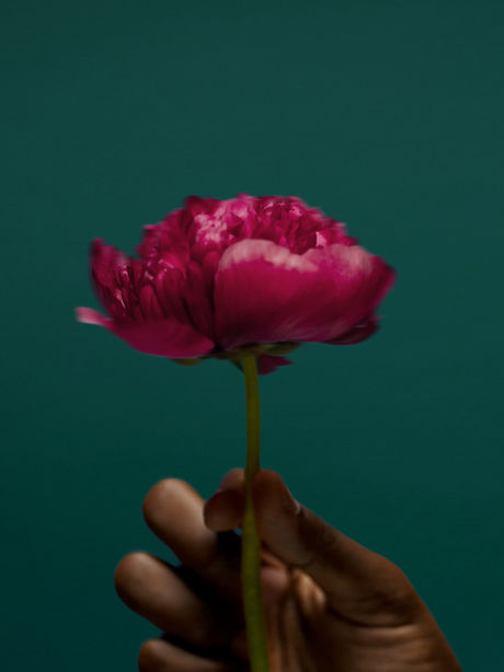 プロジェクト名