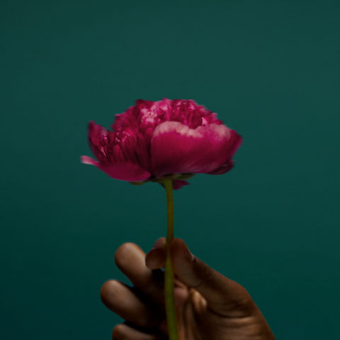 Human–AI Co-resonance Experiments