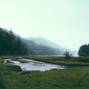 Hiking Magazine , Black Forest