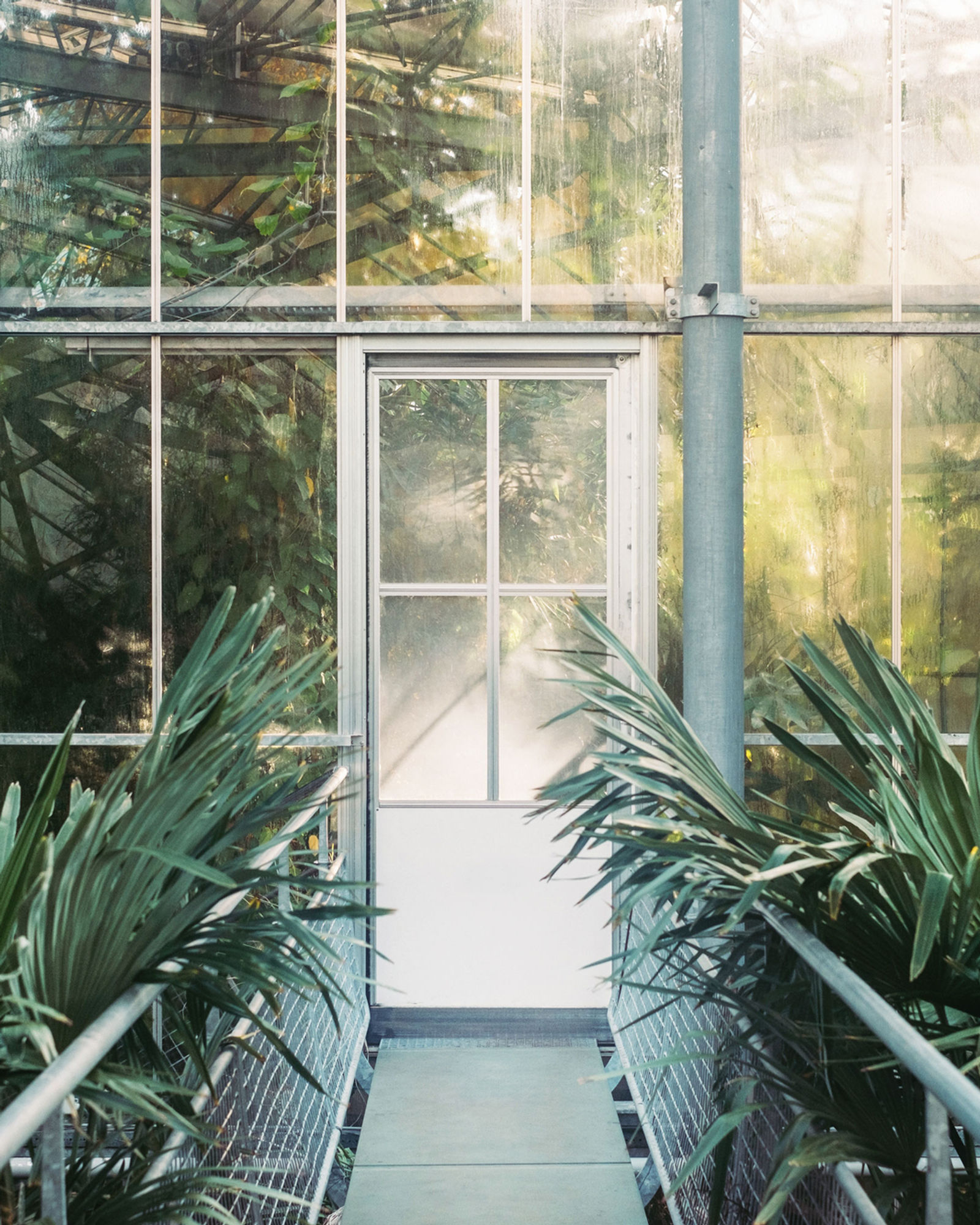 Fjord Photography — photo 16