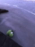 5AEA5D95-C9B9-4E71-A164-2785A9C43698.HEIC