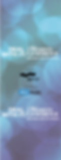 Screen Shot 2020-03-24 at 1.29.15 PM.png