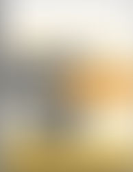 Top Influences of 2016: Sustaining Neighborhood Change