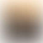 
THE INSEPARABLE COMPANIONS BY PAT HARRISON