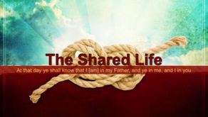 THE SHARED LIFE
