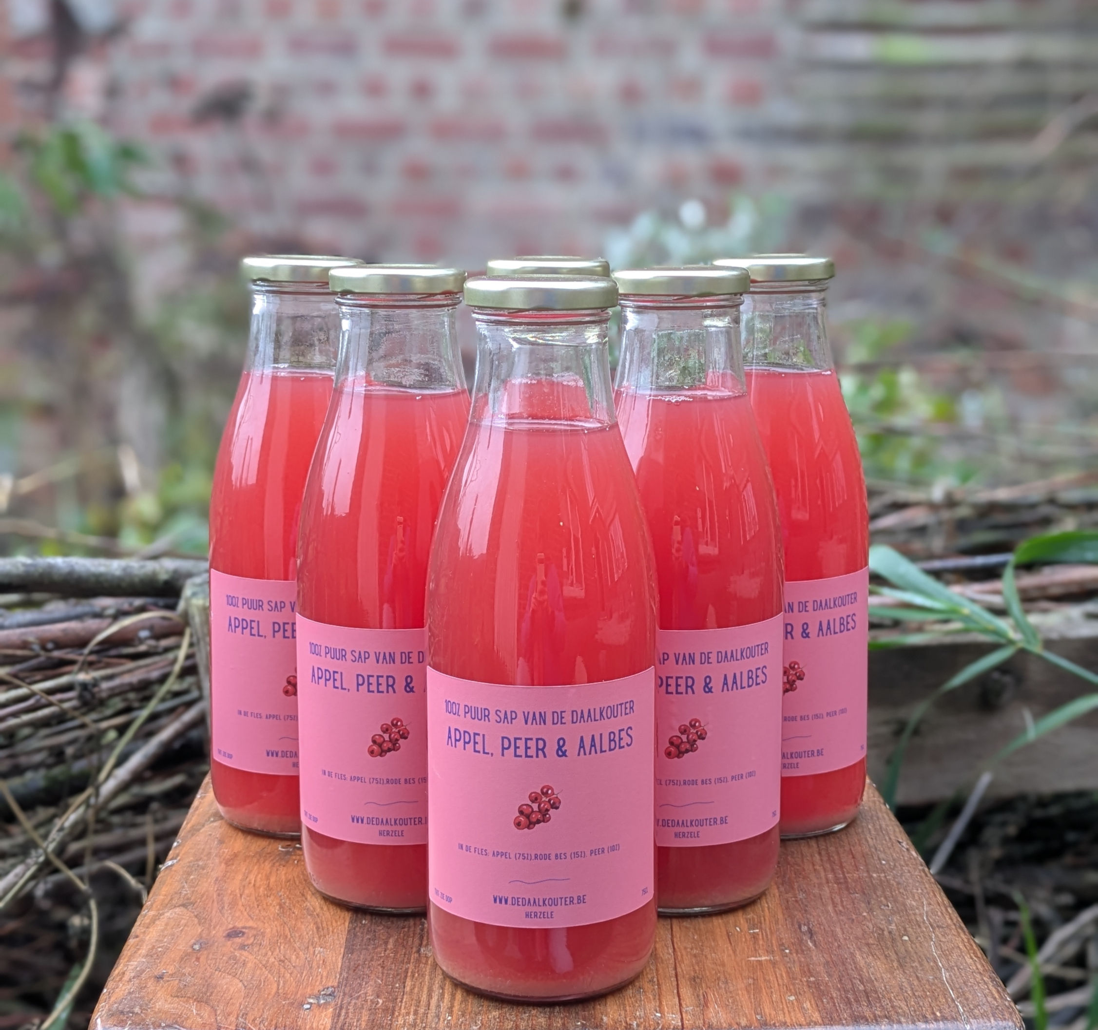 6 x appel-rode bes sap