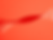 salmon1.png