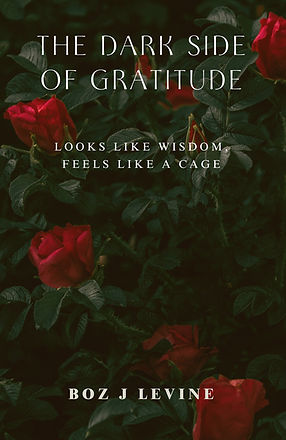 Blurry Girl Photo Book Cover.jpg