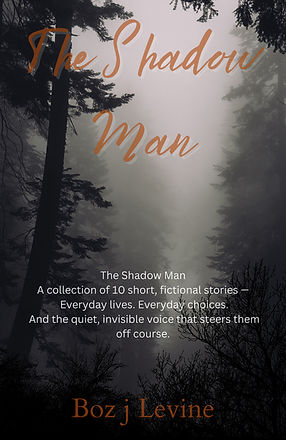 The Shadow Man.jpg