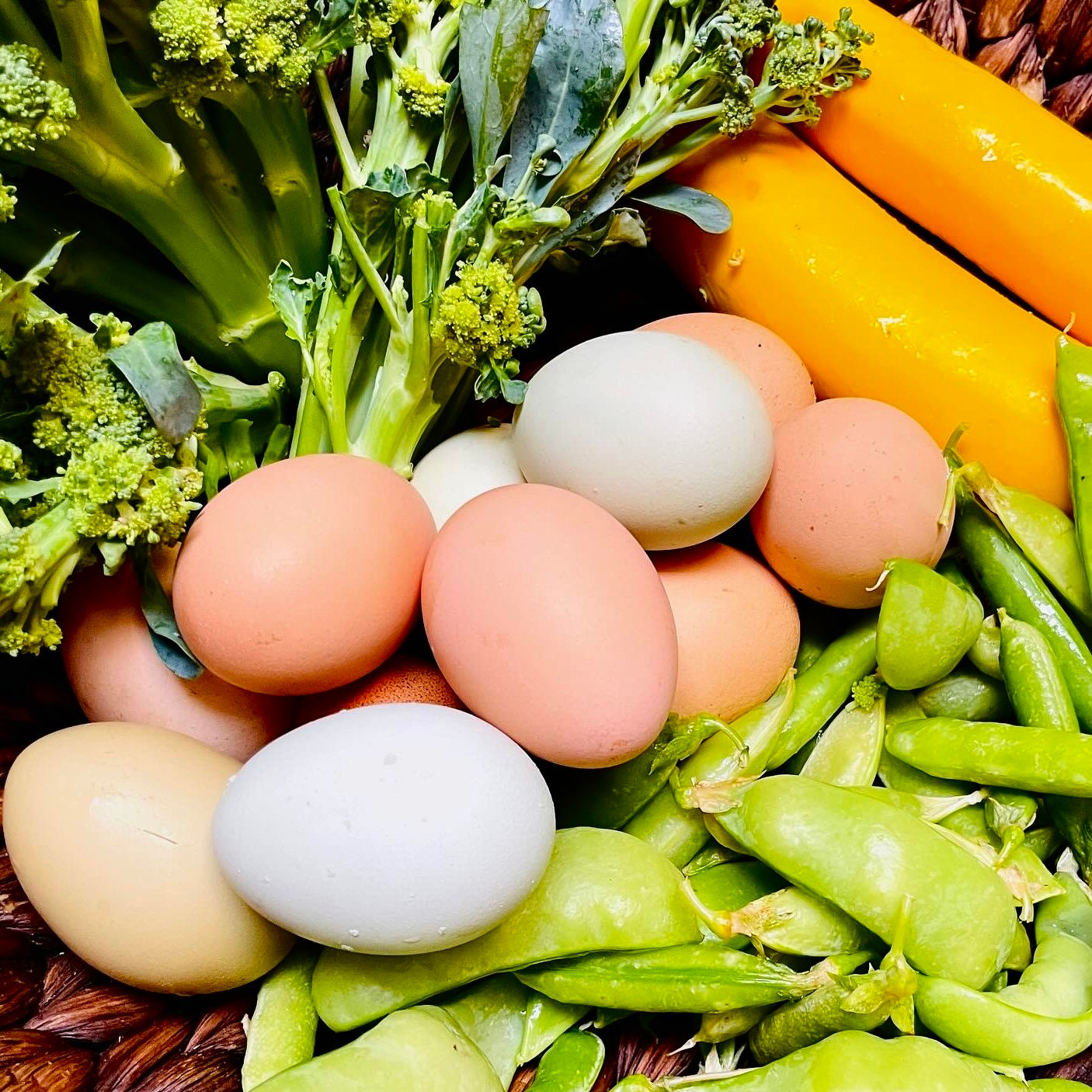 Farm Basket with Fresh Eggs