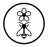 download (5).png