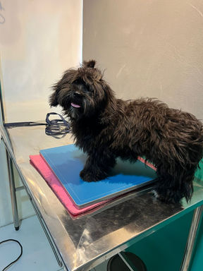 WhatsApp Image 2023-04-25 at 09.24.00.jpeg