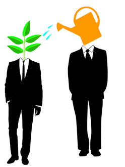 Embracing Obstacles Through the Power of a Mentor Who Shares Their Setbacks