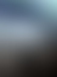 The Curious Case of Reappearing Job Postings: Unraveling the Mystery