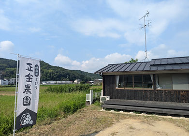 正金農園ぶどう直売所