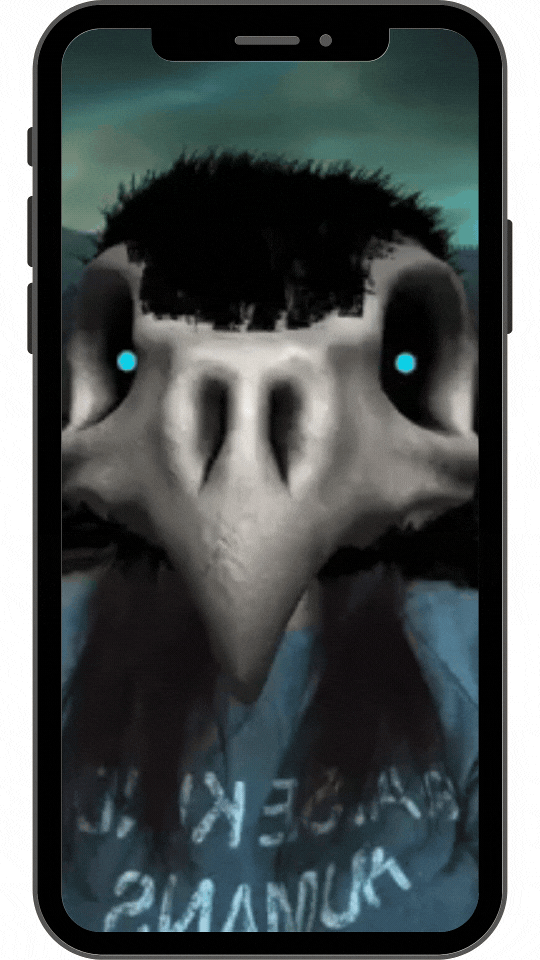 Bird Filter.gif