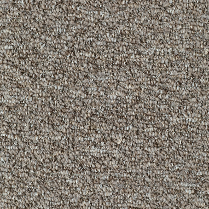 Loop Walnut