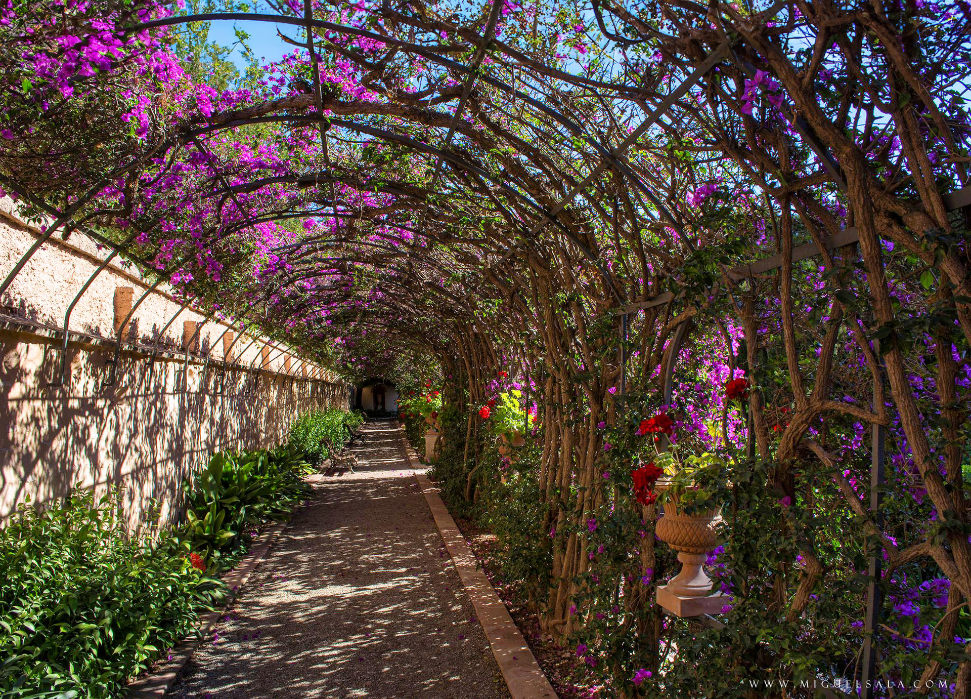 Jardines de Monforte, Valencia