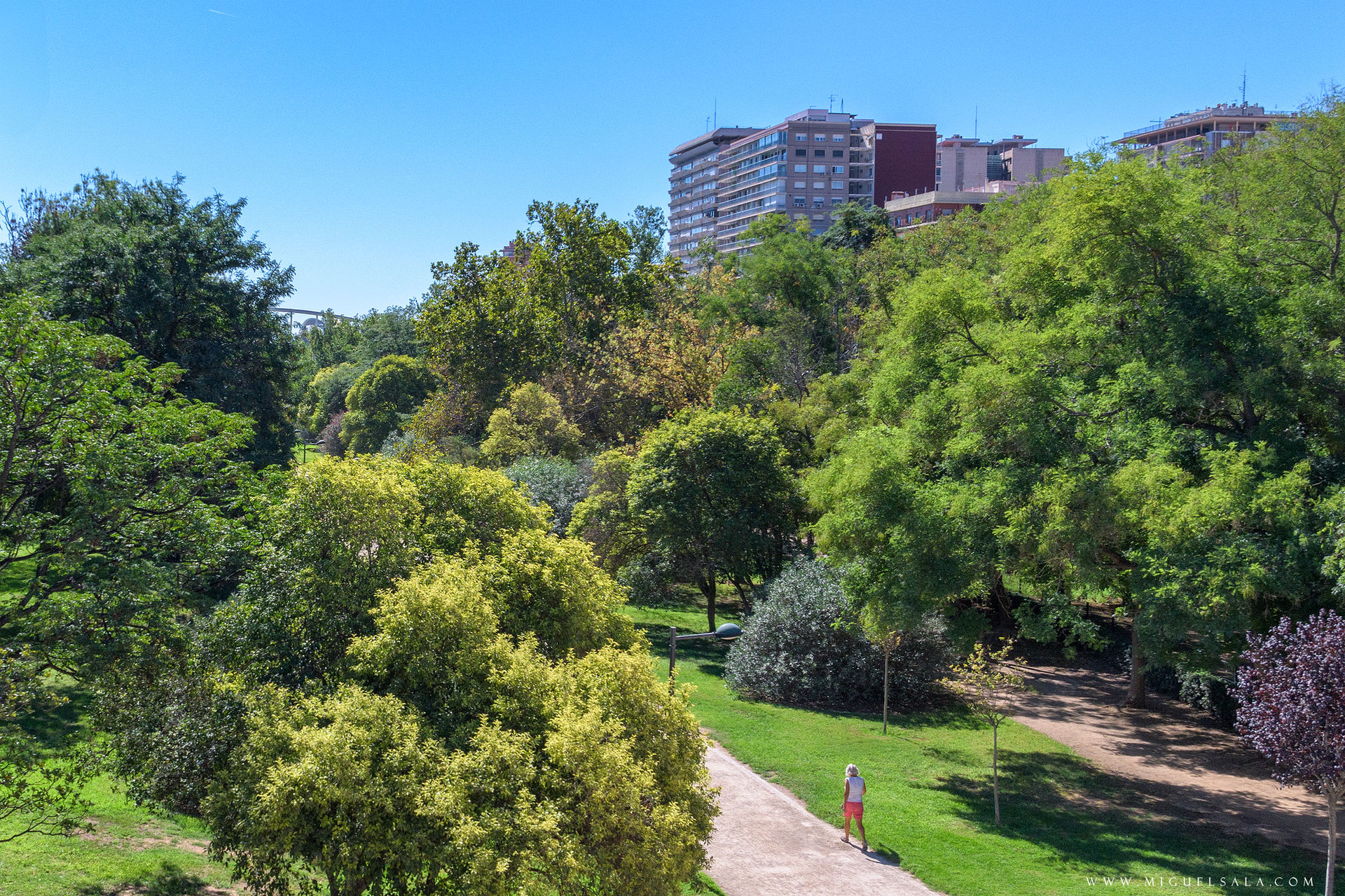 Jardín del Turia, Valencia