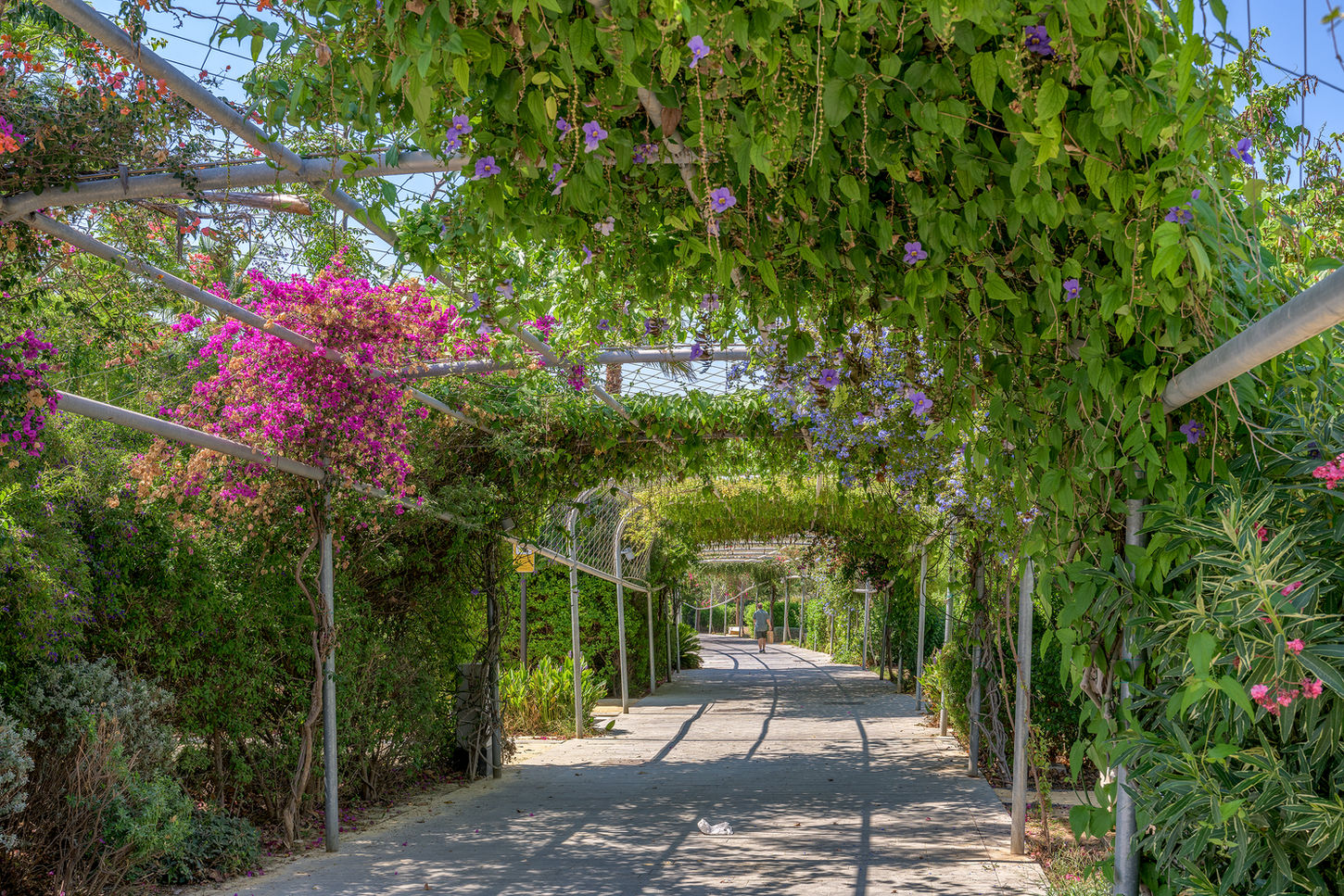 Parque Central, Valencia