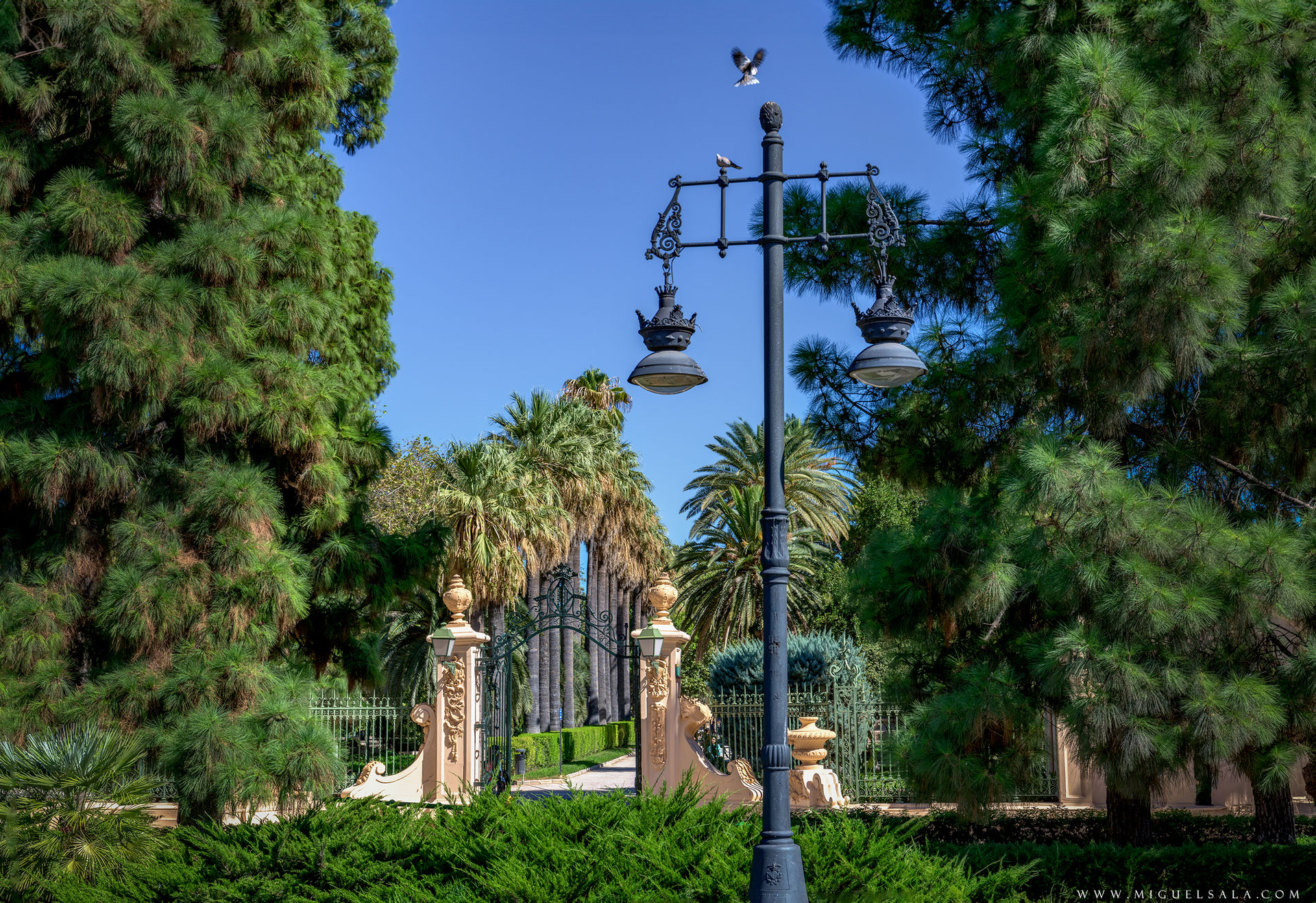 Jardines del Real, Valencia
