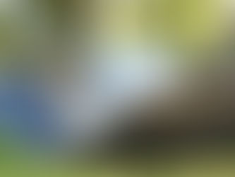 Is a Hammock Better Than a Bed