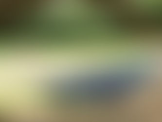 How to Hang a Hammock with One Tree