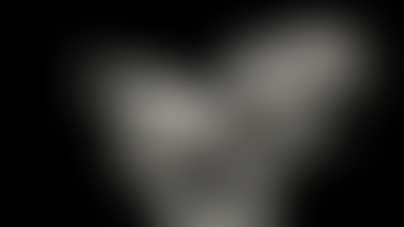 Nimic nu se naște din nimic