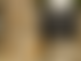 Basarab Întâiemetorul - Djuvara