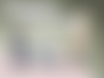 XIV. Salvarea sectorului economic X