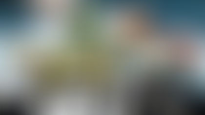 XVII. Fixarea prețurilor de către guvern