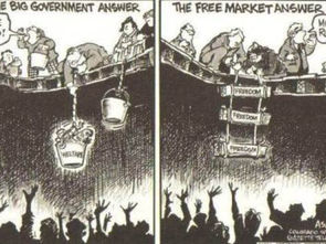 Ce poate face sistemul pieței libere