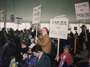 XIII. Prețurile „paritare“